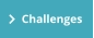 Challenges